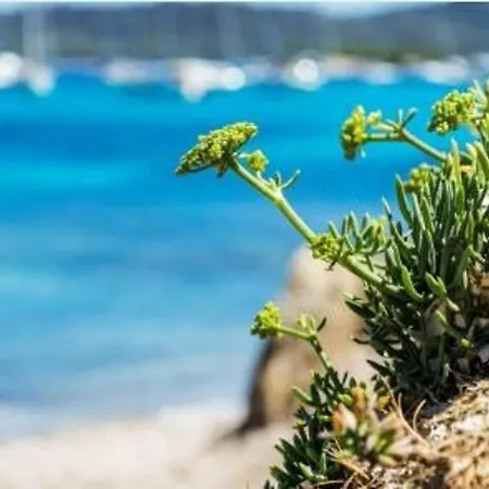 Cosy Proche Plage, - Fr-1-251-847 Apartmán *