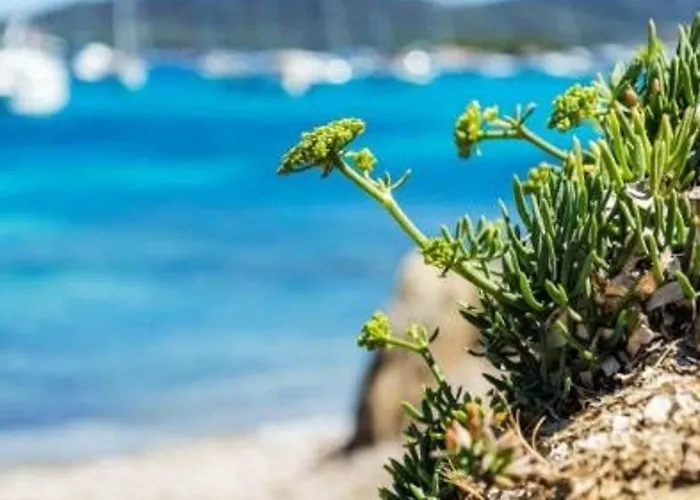 Cosy Proche Plage, - Fr-1-251-847 Apartment *